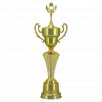 Troféu Campeonatos e Torneios, Concursos