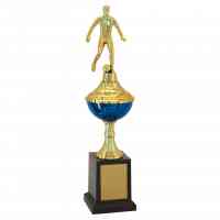 Troféu de Torneios e Campeonatos - Futebol Azul