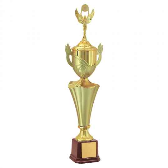 Troféu-Dourado-Taça-Estatueta-Vitoria-401481