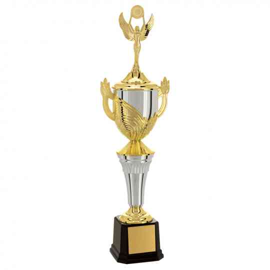 Troféu-dourado-prata-taca-vitoria-401901