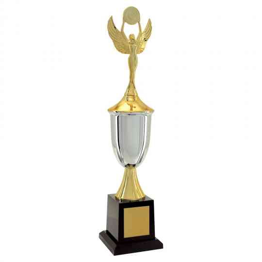 Troféu-dourado-prata-vitoria-401601