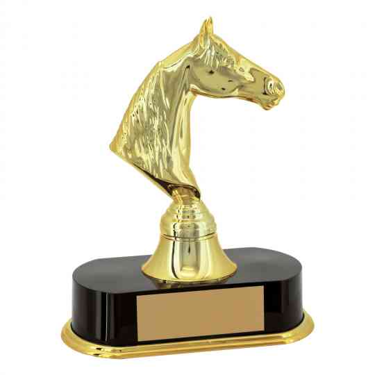 Troféu de Torneios e Campeonatos - Cavalo Dourado