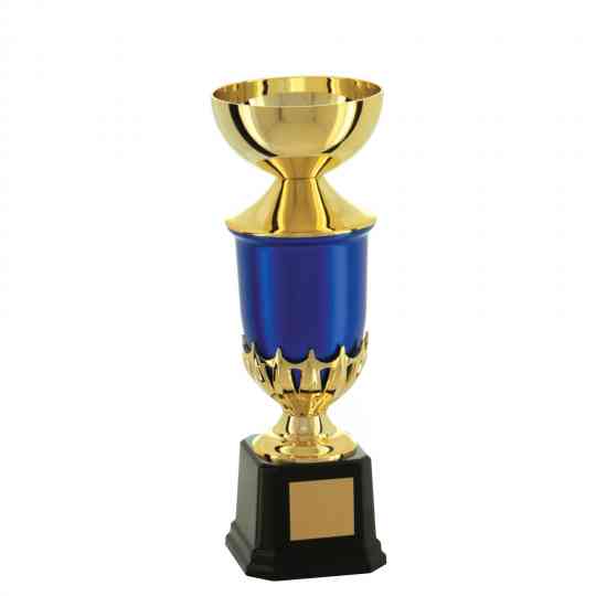 Troféu-Taça-Dourado-Azul-401671