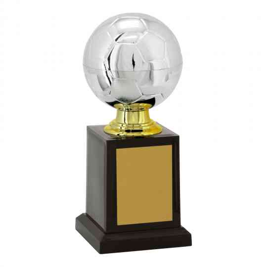 Troféu de Torneios e Campeonatos - Prata & Dourado