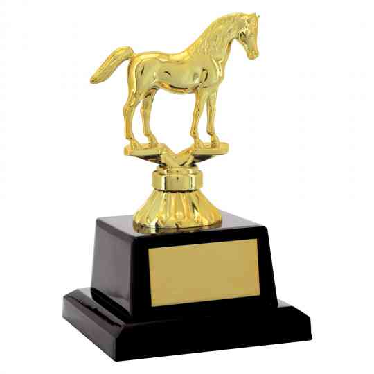 Troféu de Torneios e Campeonatos - Dourado Cavalo
