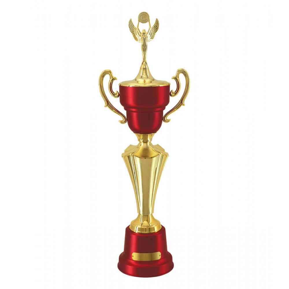 Troféu Campeonatos, Torneios, Concursos