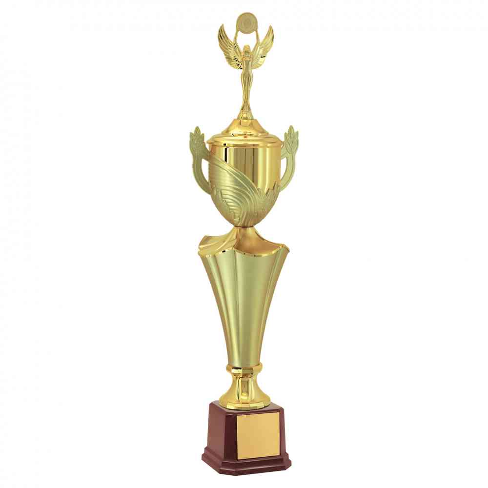 Troféu-Dourado-Taça-Estatueta-Vitoria-401481